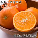 【ふるさと納税】【濃厚オレンジ】和歌山有田産セミノール約3kg(サイズ混合 秀品)★2026年4月中旬~2026年5月上旬頃に順次発送