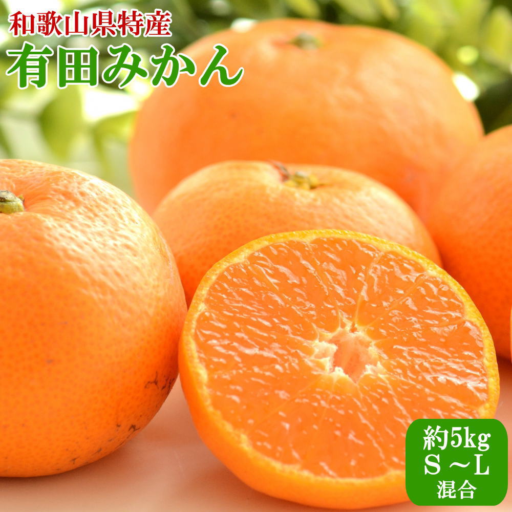 【ふるさと納税】[秀品]和歌山有田みかん約5kg（S～Lサイズ混合）★2025年11月中旬～2026年1月中旬頃より順次発送 | フルーツ 果物 くだもの 食品 人気 おすすめ 送料無料 定期便 産地直送