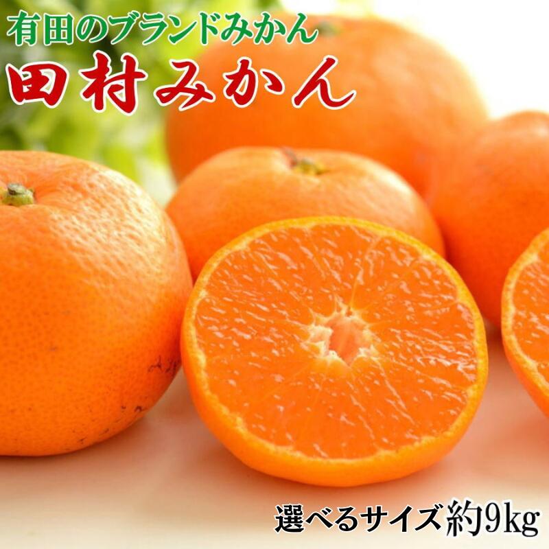 田村みかん 大玉 / 和歌山 有田みかん 甘い ブランド / 約9kg [サイズ選べる 2L 3L] /※2025年11下旬〜2025年12月下旬頃に順次発送(お届け日指定不可)