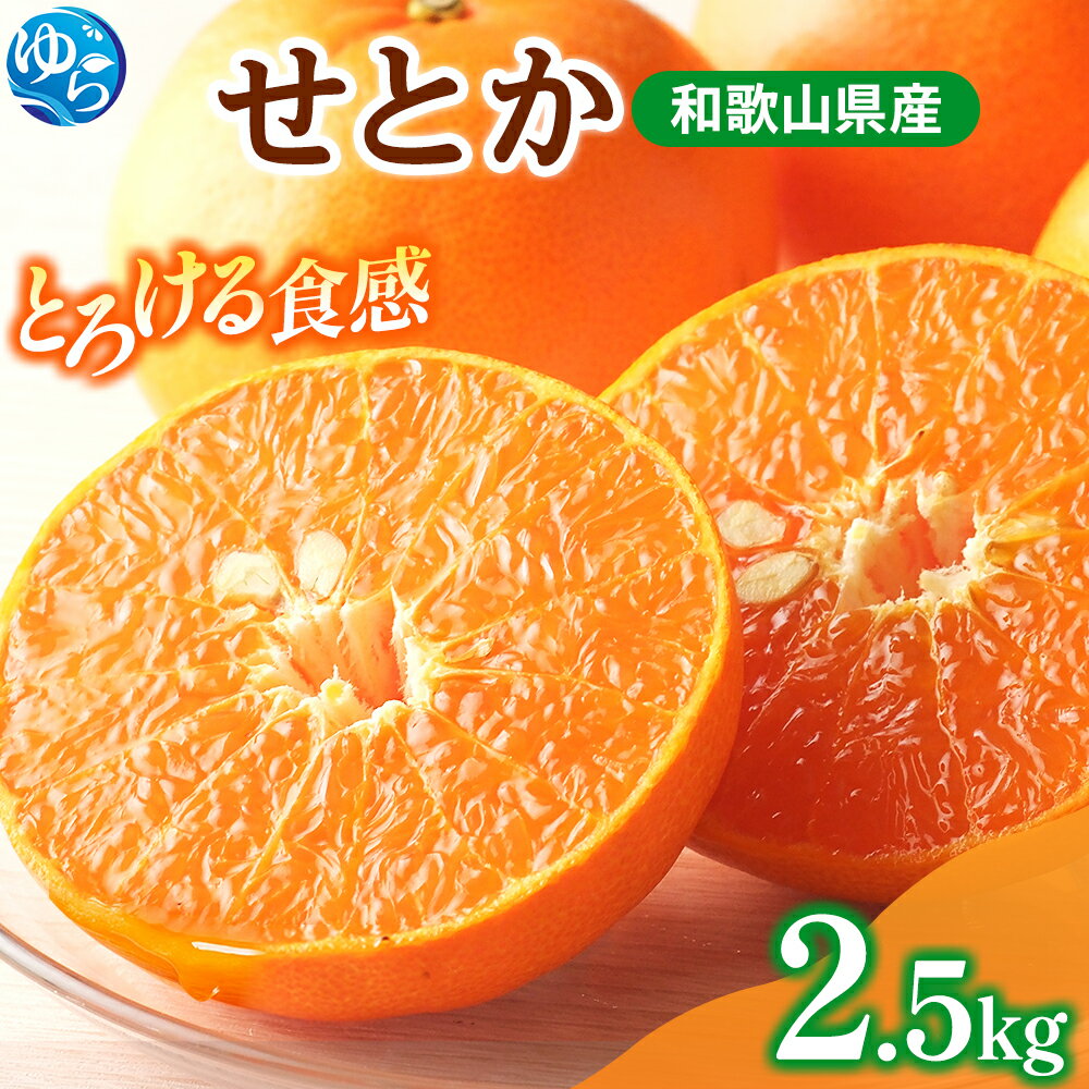 【ふるさと納税】紀州有田産せとか約2.5kg　とろける食感！ジューシー柑橘【2026年2月上旬以降発送】【先行予約】【UT02】 | 和歌山県由良町 ふるさと 納税 取り寄せ お取り寄せ フルーツ お取り寄せフルーツ ご当地 果物 柑橘 柑橘類 かんきつ類 くだもの(4)