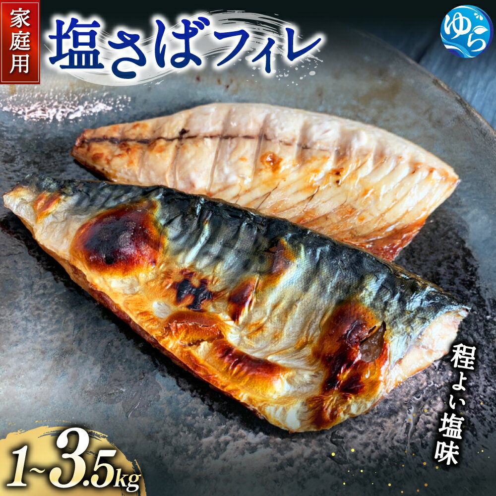 ＼レビューキャンペーン中/[ご家庭用]塩さばフィレ [選べる容量]1kg 2kg 3.5kg | 和歌山 由良町 湯浅町 支援品 返礼品 特産品 名産品 塩サバ 塩さば 鯖 サバ さば 魚 切り身 冷凍 冷凍食品 焼き魚 煮魚 真空パック 魚介類 魚介 海産物おすすめ 塩鯖