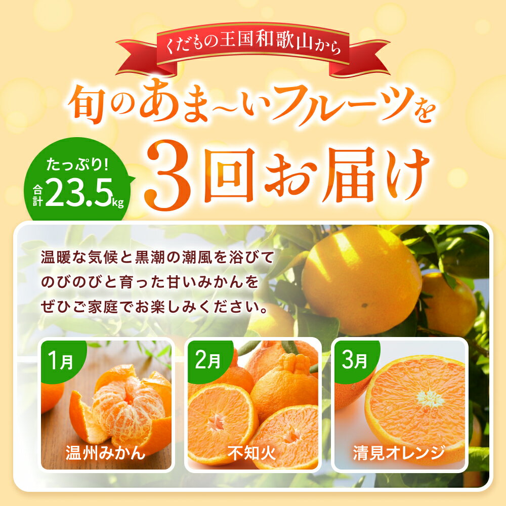【ふるさと納税】 【たっぷり23.5kg】 訳あり みかん 定期便 / 大容量 温州みかん 不知火 清見 オレンジ 柑橘 フルーツ 和歌山