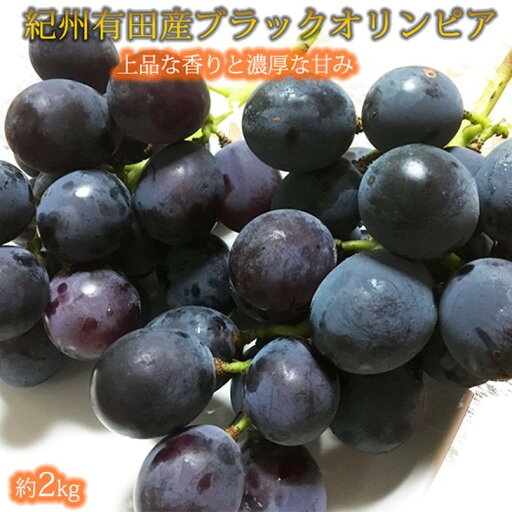 【ふるさと納税】紀州有田産 ブラックオリンピア (ハチミツぶどう) 約2kg 【UT107】 | ぶどう フルーツ 果物 くだもの 食品 人気 おすすめ 送料無料 【ふるさと納税】紀州有田産 ブラックオリンピア (ハチミツぶどう) 約2kg 【UT107】 | ぶどう フルーツ 果物 くだもの 食品 人気 おすすめ 送料無料