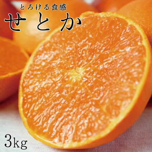 【ふるさと納税】とろける食感!ジューシー柑橘 せとか 約3kg【予約】※2026年2月下旬頃〜2026年3月下旬頃発送(お届け日指定不可) | 和歌山県由良町 ふるさと 納税 取り寄せ お取り寄せ フルーツ お取り寄せフルーツ ご当地 果物 柑橘 柑橘類 かんきつ類 くだもの 【ふるさと納税】とろける食感!ジューシー柑橘 せとか 約3kg【予約】※2026年2月下旬頃〜2026年3月下旬頃発送(お届け日指定不可) | 和歌山県由良町 ふるさと 納税 取り寄せ お取り寄せ フルーツ お取り寄せフルーツ ご当地 果物 柑橘 柑橘類 かんきつ類 くだもの