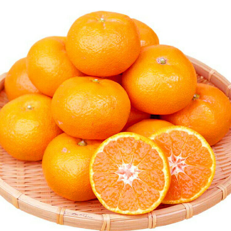 【ふるさと納税】赤秀品 紀州有田産濃厚完熟温州みかん 3kg(MサイズまたはSサイズ)【2025年11月下旬以降発送】【先行予約】【UT12】 | 和歌山 由良 和歌山県由良町 ふるさと 納税 取り寄せ お取り寄せ フルーツ お取り寄せフルーツ ご当地 果物 みかん ミカン