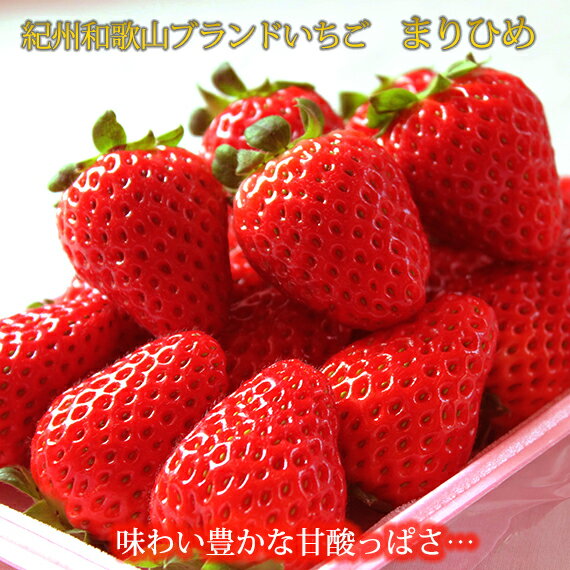 【ふるさと納税】紀州和歌山ブランドいちご「まりひめ」約250g×4P 【2025年2月上旬頃~2025年3月下旬頃に順次発送】【UT39】