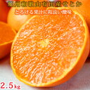 【ふるさと納税】紀州有田産せとか約2.5kg とろける食感!ジューシー柑橘【2026年2月上旬以降発送】【先行予約】【UT02】 | 和歌山県由良町 ふるさと 納税 取り寄せ お取り寄せ フルーツ お取り寄せフルーツ ご当地 果物 柑橘 柑橘類 かんきつ類 くだもの(4)