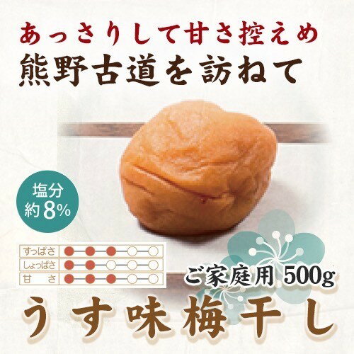 ڤդ뤵Ǽǡ۵ ̣ 500g  US32 |  ե롼 ʪ   ͵  ̵