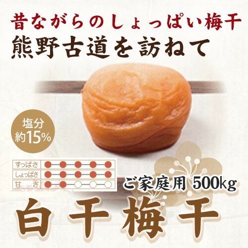 【ふるさと納税】紀州南高梅 白干梅干し 500g ご家庭用 【US34】 | もも フルーツ 果物 くだもの 食品 人気 おすすめ 送料無料