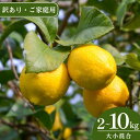 【ふるさと納税】<来シーズン先行予約>【訳あり・ご家庭用】和歌山県産完熟レモン<選べる容量>サイズ大小混合 2kg 3kg 5kg 7kg 10kg 皮まで使用可能!【2026年1月中旬より順次発送予定】 / れもん ワケアリ 訳アリ ノーワックス 柑橘 産地直送 由良町 和歌山