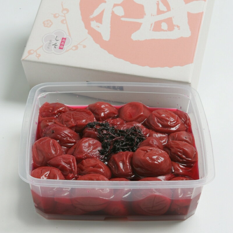 【ふるさと納税】紀州南高梅 しそ 塩分約15％ 500g ［YM5］ | 梅干し 梅 食品 加工食品 人気 おすすめ 送料無料