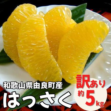 和歌山由良町産 はっさく 約5kg サイズ混合 (S〜3L)[ 訳あり 御家庭用 ] | フルーツ 果物 くだもの 食品 人気 おすすめ 送料無料