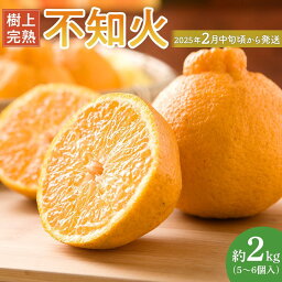 【ふるさと納税】【限定】 不知火 樹上完熟 約2kg （5～6個入）【先行予約】【2025年2月中旬頃から発送】【KG6】 | みかん 蜜柑 フルーツ 果物 くだもの 食品 人気 おすすめ 送料無料