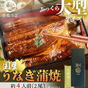 【ふるさと納税】大型サイズふっくら柔らか 国産うなぎ蒲焼き 2尾 | 和歌山県 由良町 和歌山 由良 和歌山県由良町 ふるさと 納税 取り..