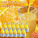 1位! 口コミ数「1件」評価「5」果汁100％田村そだちみかんジュース 180ml×12本 | 和歌山県 由良町 和歌山 由良 和歌山県由良町 ふるさと 納税 ジュース 飲み･･･ 