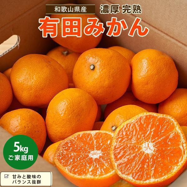 [先行予約]有田育ちのご家庭用 完熟有田みかん5kg[ 2024年11月上旬より発送 ][訳あり] | フルーツ 果物 くだもの 食品 人気 おすすめ 送料無料