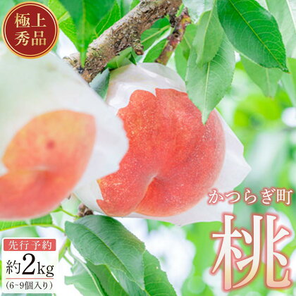 桃 極上秀品 約2kg 6～9個入【先行予約】【2024年6月中旬頃から発送】【KG2】 | もも フルーツ 果物 くだもの 食品 人気 おすすめ 送料無料