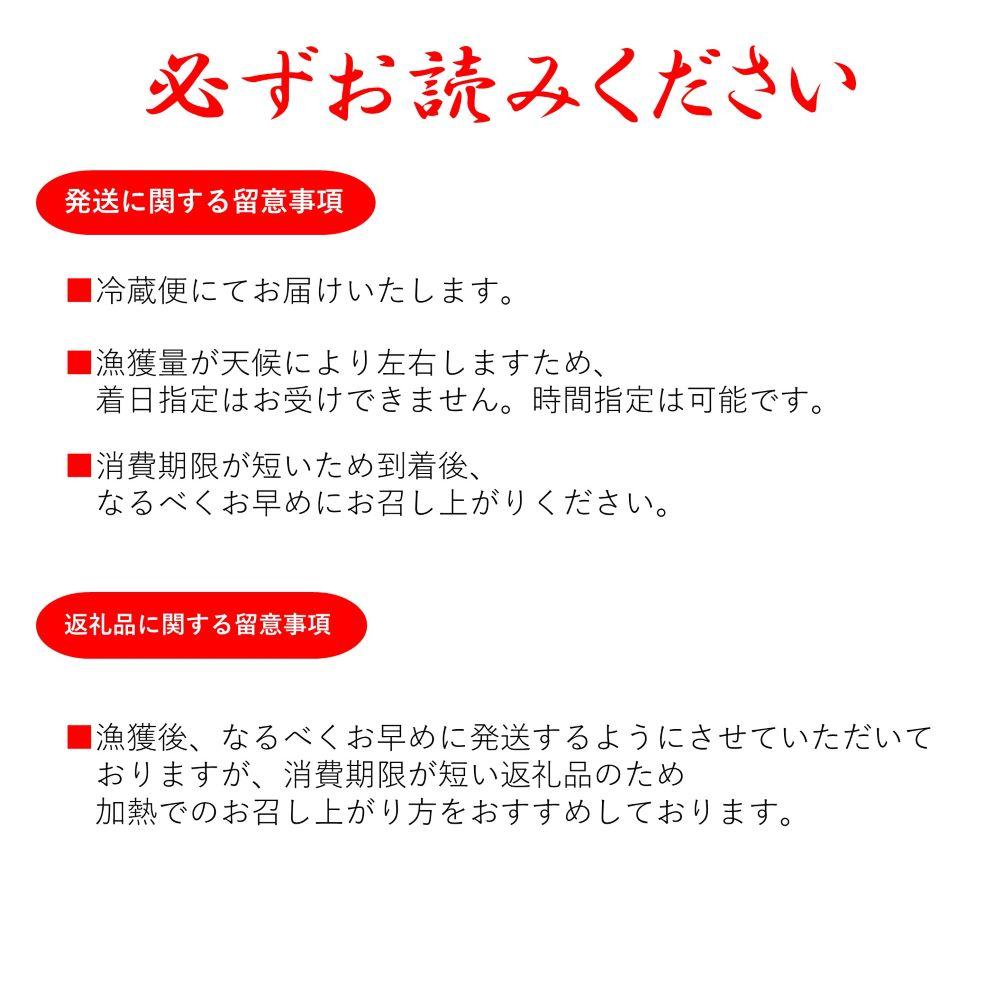 【ふるさと納税】天然メガイアワビ1kg！【素潜り漁師直送】