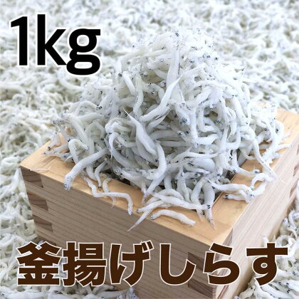 釜揚げしらす1kg | 魚 お魚 さかな 食品 人気 おすすめ 送料無料