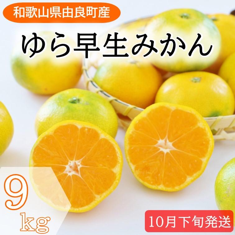 【ふるさと納税】和歌山県産 ゆら早生みかん サイズおまかせ9kg 農家直送【2024年10月中旬頃より順次発送予定】 | みかん 9kg 和歌山 蜜柑 和歌山県産 早生 先行予約 農家直送 特産品 名産品 ご当地 フルーツ ふるさと納税 返礼品