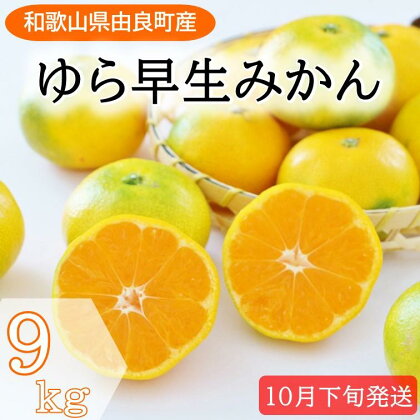 和歌山県産 ゆら早生みかん サイズおまかせ9kg 農家直送【2024年10月中旬頃より順次発送予定】 | みかん 9kg 和歌山 蜜柑 和歌山県産 早生 先行予約 農家直送 特産品 名産品 ご当地 フルーツ ふるさと納税 返礼品