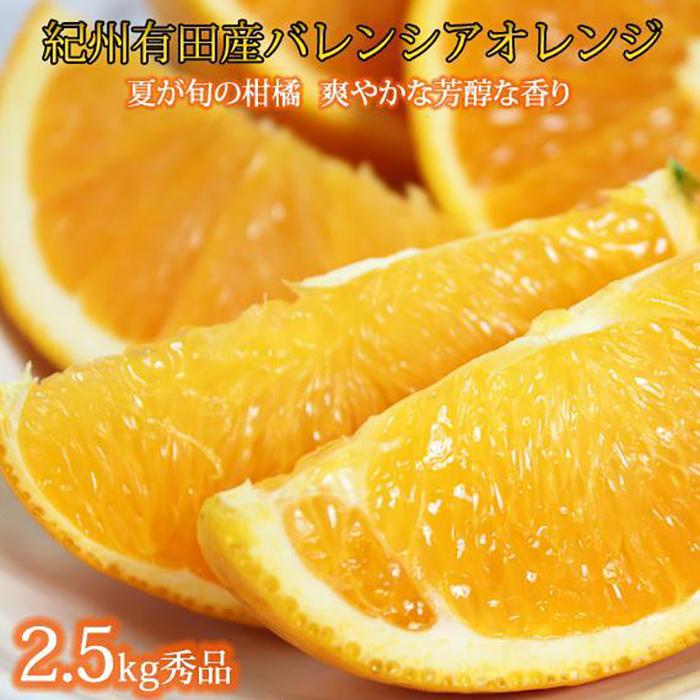 [2024年発送]秀品 希少な国産バレンシアオレンジ 2.5kg