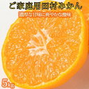 17位! 口コミ数「0件」評価「0」【ご家庭用訳あり】田村みかん　5kg【先行予約】【UT18】