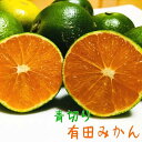 51位! 口コミ数「0件」評価「0」【先行予約】厳選 青切り有田みかん4kg【2024年9月中旬より発送】【サイズ混合】【和歌山県産】 | みかん ミカン 蜜柑 有田 温州みか･･･ 