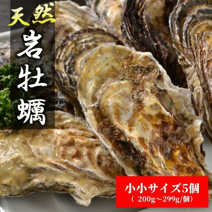 天然岩牡蠣（加熱食用）小小サイズ5個入　