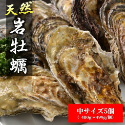 【ふるさと納税】天然岩牡蠣（加熱食用）中サイズ5個入　