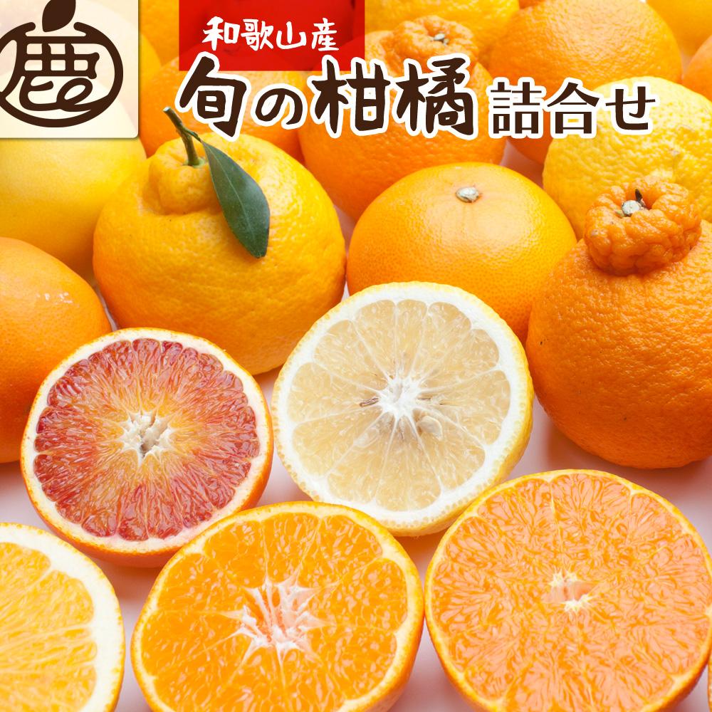 ＜1月より発送＞厳選 旬の 柑橘詰合せ3kg+90g（傷み補償分） | フルーツ 果物 くだもの 食品 人気 おすすめ 送料無料