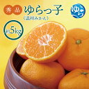 【ふるさと納税】温州みかん「ゆらっ子 5kg【先行予約】※2025年12月初旬頃~順次発送予定(お届け日指定不可) / みかん 由良町 ミカン 柑橘 期間限定 和歌山 温州 密柑 くだもの フルーツ 甘い ジューシー 果汁