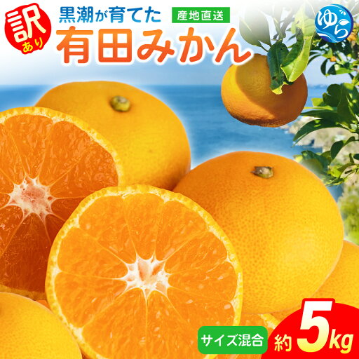 【ふるさと納税】【先行予約】有田みかん(訳あり・サイズ混合)約5kg※2025年11月上旬頃から順次発送予定(お届け時間帯指定可) / 蜜柑 柑橘 ミカン フルーツ 果物 くだもの 食品 人気 おすすめ 産地直送 和歌山県 由良町 【ふるさと納税】【先行予約】有田みかん(訳あり・サイズ混合)約5kg※2025年11月上旬頃から順次発送予定(お届け時間帯指定可) / 蜜柑 柑橘 ミカン フルーツ 果物 くだもの 食品 人気 おすすめ 産地直送 和歌山県 由良町