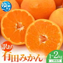 【ふるさと納税】【先行予約】訳ありご家庭用有田みかん 【選べる容量】1kg/1.5kg(箱込み)/2kg ※2025年11月上旬〜2026年1月中旬に順次発送 ...