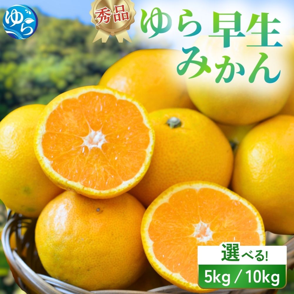秀品 ゆら早生みかん 5kg 10kg[2025年10月初旬〜順次発送予定]/ みかん ミカン 和歌山県 柑橘 早生 甘い 蜜柑 フルーツ 果物 くだもの 食品 産地直送 由良町 ゆら早生 早生みかん
