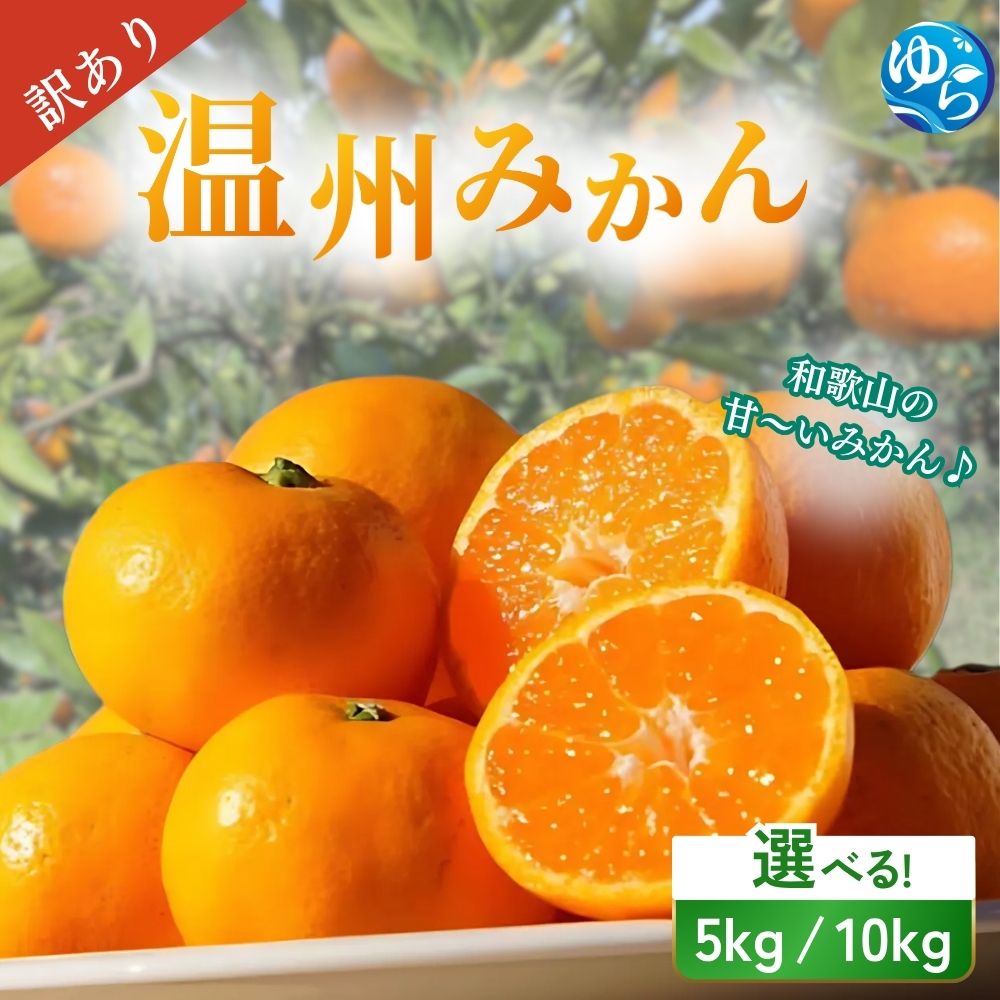 ＼訳あり/ 温州みかん 5kg 10kg[2025年11月下旬〜順次発送予定]/ 数量限定 みかん ミカン 和歌山県 柑橘 早生 甘い 蜜柑 フルーツ 果物 くだもの 食品 産地直送 由良町 ご家庭用 温州 訳ありみかん