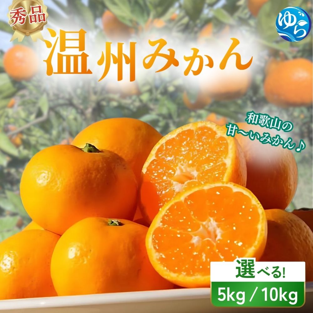 秀品 温州みかん 5kg 10kg[2025年11月下旬〜順次発送予定]/ 数量限定 みかん ミカン 和歌山県 柑橘 早生 甘い 蜜柑 フルーツ 果物 くだもの 食品 産地直送 由良町 ご家庭用 温州 訳ありみかん 大玉