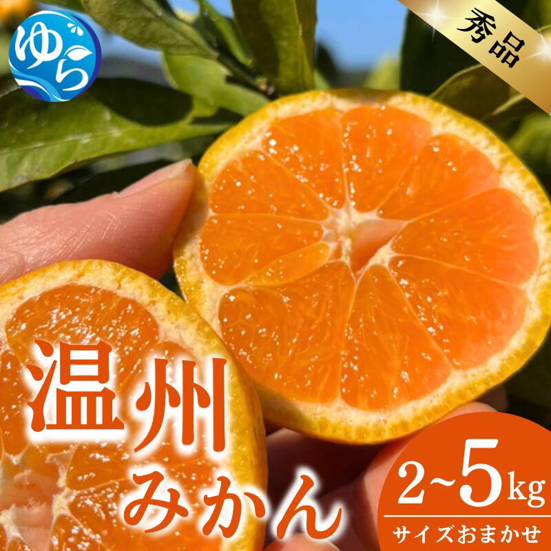 ＼先行予約/[秀品]温州みかん[選べる容量]2kg 5kg サイズおまかせ(S〜L) / 数量限定 ミカン 蜜柑 温州ミカン 柑橘 フルーツ くだもの 産地直送 由良町 和歌山