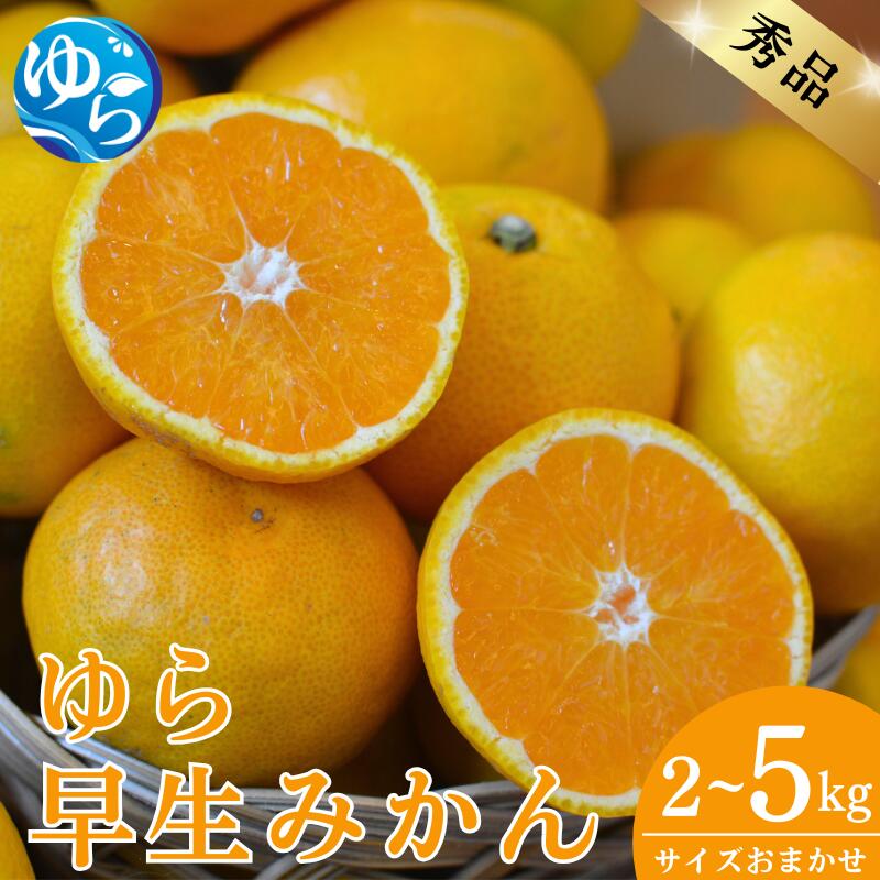 ＼先行予約/[秀品]ゆら早生みかん[選べる容量]2kg 5kg サイズおまかせ(2S〜L) / 数量限定 ミカン 蜜柑 温州ミカン 柑橘 フルーツ くだもの 産地直送 由良町 和歌山