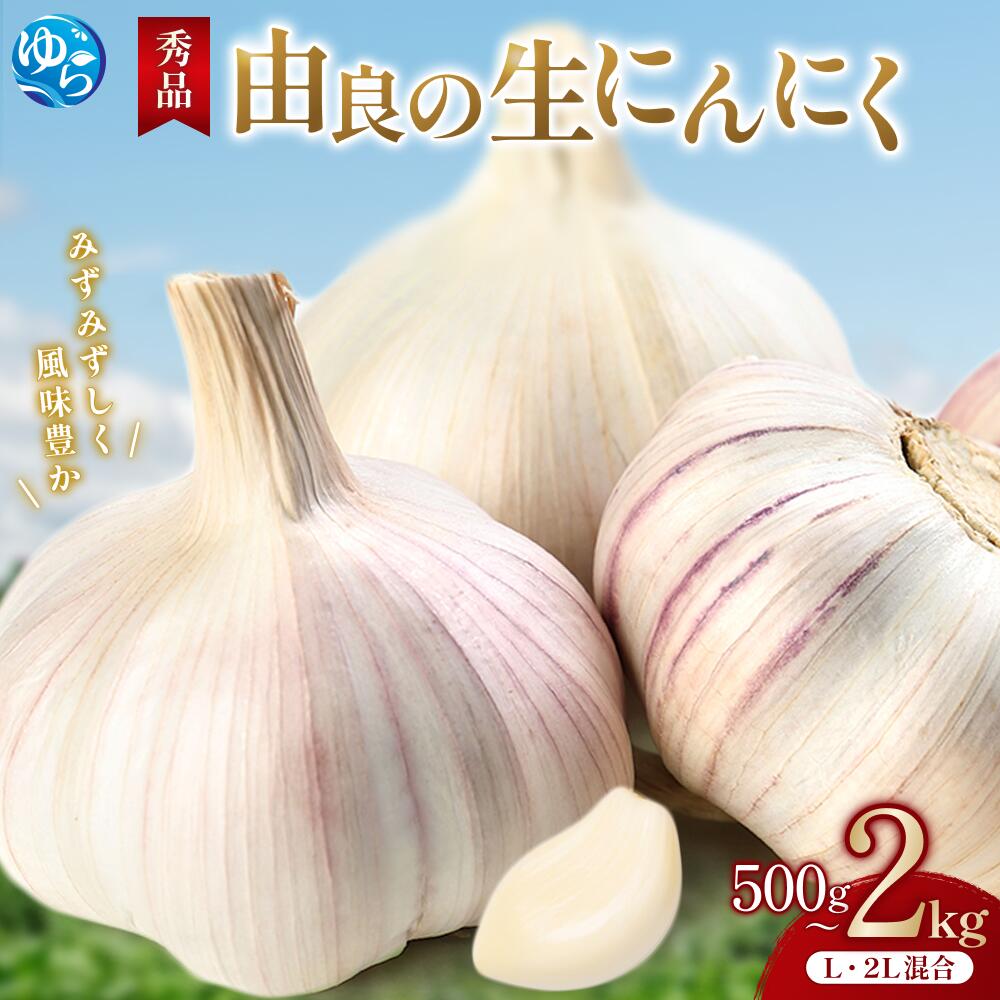 生にんにく 秀品 / ニンニク ガーリック 由良町 / (L・2L混合) 500g 1kg 1.5kg 2kg / ※2026年4月下旬〜順次発送