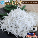 【ふるさと納税】★レビューキャンペーン中★ 小分け 冷凍釜揚げしらす【選べる容量】500g 700g 1kg / 釜揚げしらす シラス パック グルメ 魚介類 ...