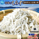 【ふるさと納税】★レビューキャンペーン中★ 釜揚げしらす【選べる容量】500g / 1kg / 1.5kg / 2kg | シラス 魚 お魚 冷蔵 海産物 産地...