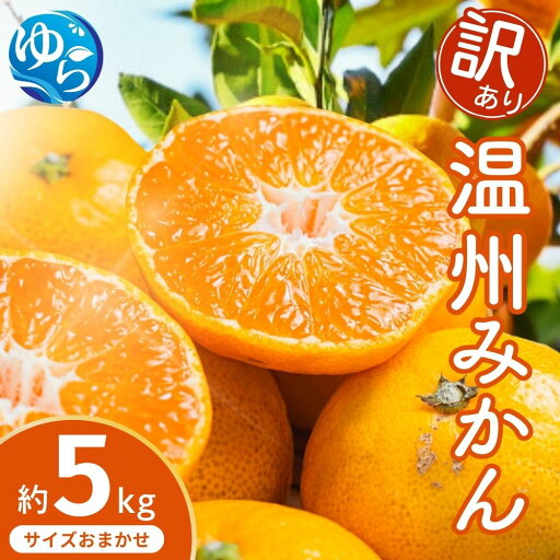 【ふるさと納税】\レビューキャンペーン中/【先行予約】【訳あり】温州みかん 約5kg (サイズおまかせ)【2025年12月中旬から順次発送予定】※北海道・沖縄・離島配送不可 / ミカン 蜜柑 フルーツ ワケあり 果物 柑橘 果実 由良町 国産 産地直送 和歌山県 【ふるさと納税】\レビューキャンペーン中/【先行予約】【訳あり】温州みかん 約5kg (サイズおまかせ)【2025年12月中旬から順次発送予定】※北海道・沖縄・離島配送不可 / ミカン 蜜柑 フルーツ ワケあり 果物 柑橘 果実 由良町 国産 産地直送 和歌山県