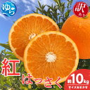 【ふるさと納税】\来シーズン先行予約/【訳あり】和歌山県産 紅はっさく(サイズおまかせ)約10kg【2026年2月中旬~順次発送予定】※北海道・沖縄・離島配送不可 / 八朔 ハッサク 柑橘 由良町 柑橘 果物 フルーツ くだもの 産地直送 和歌山