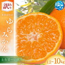 【ふるさと納税】 訳あり ゆら みかん / 温州みかん 和歌山 わけあり 甘い 柑橘 由良 1.2kg 5kg 10kg【配送時期が選べる】※2025年11月下旬~順次発送