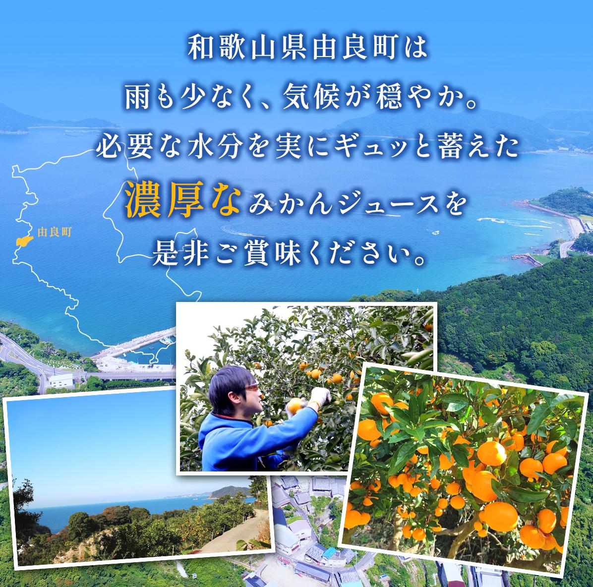 和歌山県由良町の【ふるさと納税】 みかんジュース 無添加 / 和歌山 ジュース みかん 果汁 100% 容量 選べる 5000円以下 //kakou //meisan｜アングル3