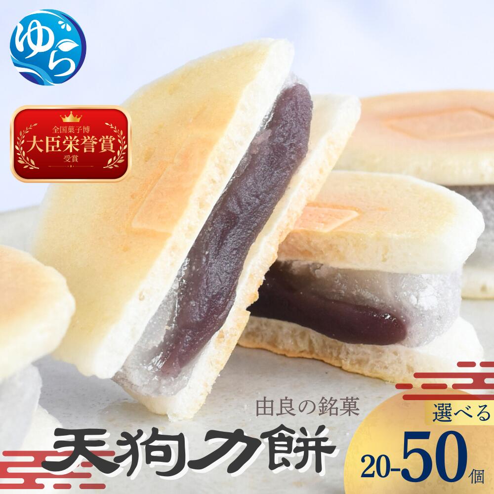 楽天和歌山県由良町【ふるさと納税】＼レビューキャンペーン中／老舗の味 天狗力餅【選べる個数】20個・25個・30個・50個 和菓子 力もち こし餡 職人の手作り | お土産 ご当地 由良町 お取り寄せ もち 餡 あんこ 人気 おすすめ 食品 和歌山