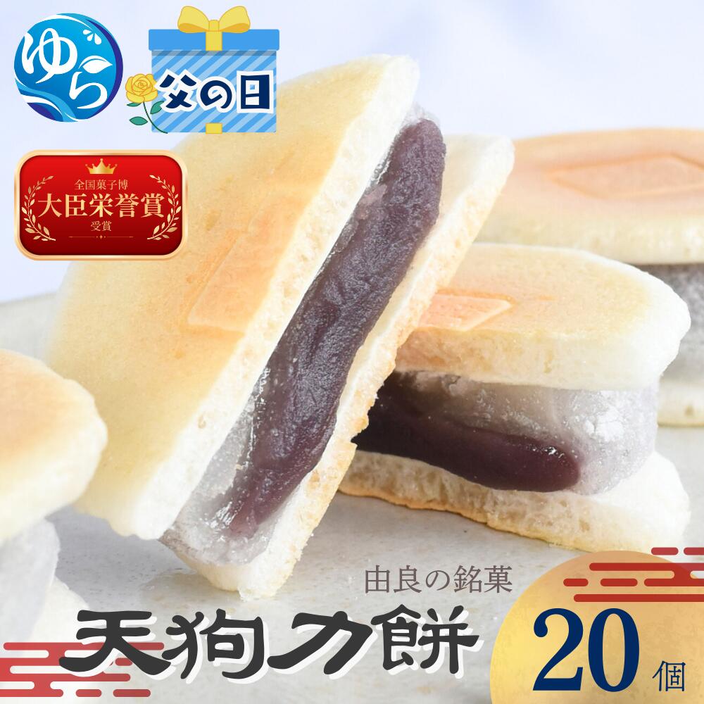 【父の日】 老舗の味 天狗力餅 20個 和菓子 力もち こし餡 職人の手作り / お土産 ご当地 由良町 お取り寄せ もち 餡 あんこ 人気 おすすめ 食品 和歌山 //meisan //best