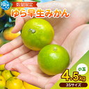 【ふるさと納税】 みかん 小玉 ゆら早生 / 4.5kg 早生 小粒 こだま 極早生 温州みかん 柑橘 和歌山 由良町 甘い 数量限定 ※先行予約 2025年1...