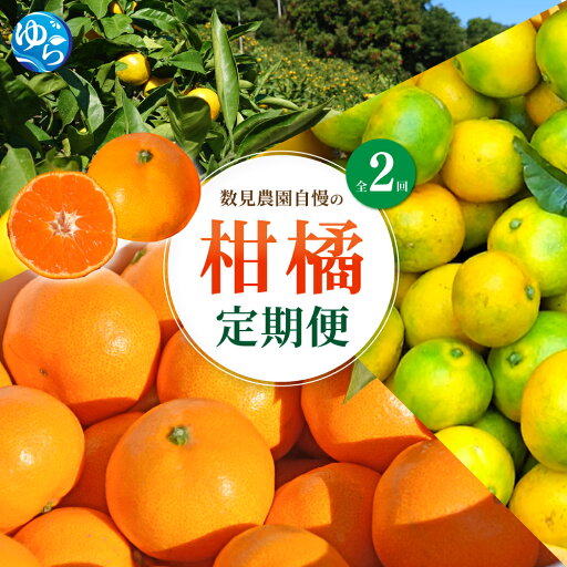 【ふるさと納税】【定期便全2回】みかん ≪数見農園自慢の柑橘定期便≫ / 定期便 果物 柑橘 由良町 フルーツ くだもの 産地直送 数量限定 ミカン ゆら早生 ゆら早生みかん ゆらみかん 温州みかん 和歌山 【ふるさと納税】【定期便全2回】みかん ≪数見農園自慢の柑橘定期便≫ / 定期便 果物 柑橘 由良町 フルーツ くだもの 産地直送 数量限定 ミカン ゆら早生 ゆら早生みかん ゆらみかん 温州みかん 和歌山